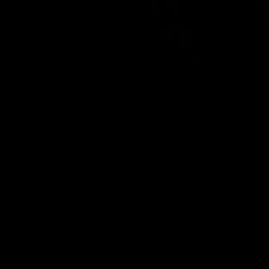 Meet your Posher, Henry